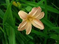 DSCI0864.webp