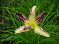 DSCI0867.webp