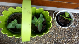2018-06-24_17-46-49-1.webp