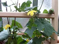 100_0364.jpg