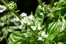c021.webp