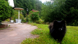 2018-06-25_14-13-49-1.webp