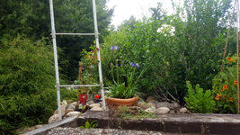 2018-06-25_14-16-59-1.webp