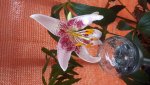 20180625_175909.jpg