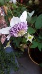 20180530_211126.jpg
