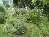 BILD9936.webp