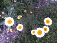BILD9913.webp