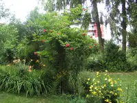 BILD9932.webp