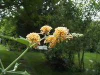 BILD9933.webp