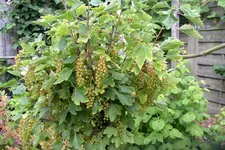 IMGP2802.webp