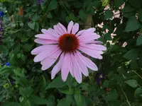 DSC03297.webp