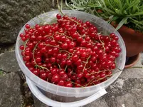 DSC03303.webp