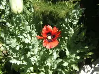 BILD9735.webp