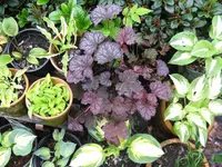 014_1024x768.webp