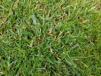 20180624_192449.webp