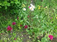 20180625_113428.webp