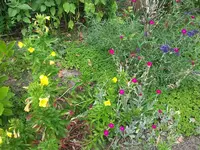 20180625_113449.jpg