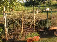 2018-06-23 Totholzhecke.webp
