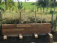2018-06-24 Sichtschutzwand vor Totholzhecke2.webp