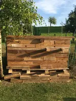2018-06-24 Sichtschutzwand vor Totholzhecke4.webp
