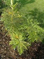 IMG_20180627_080116.webp