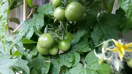 20180627_113930.webp