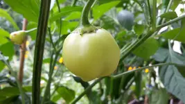 20180627_113815.jpg