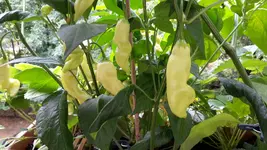20180627_113742.webp