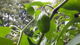 20180627_113703.webp