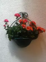 Hängeampel.webp