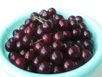 BILD9969.webp