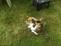 BILD9958.webp