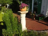DSC03315.webp