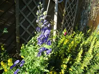DSC03325.webp