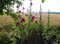 DSC03329.webp