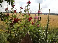 DSC03357.webp