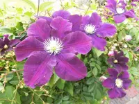 DSCI0272 (2).webp