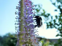 DSCF1516 (2).webp