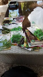 IMG-20180628-WA0004.jpg