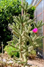 2018-06-20-3747.webp