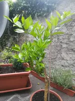 IMG_20180628_193058.webp