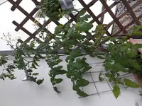 20180628_194943.webp