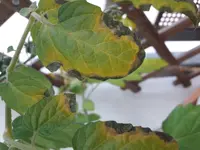 20180628_194951.webp