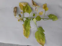 20180628_195003.webp