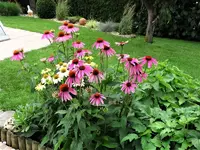 DSC04520.webp