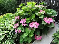 DSC04540.webp
