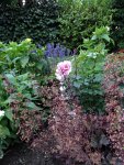 DSC04456.JPG
