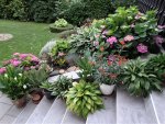DSC04441.JPG