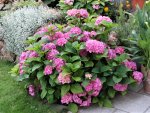 DSC04452.JPG