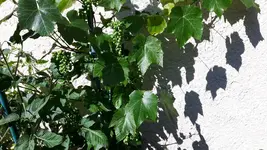 20180629_165254.webp